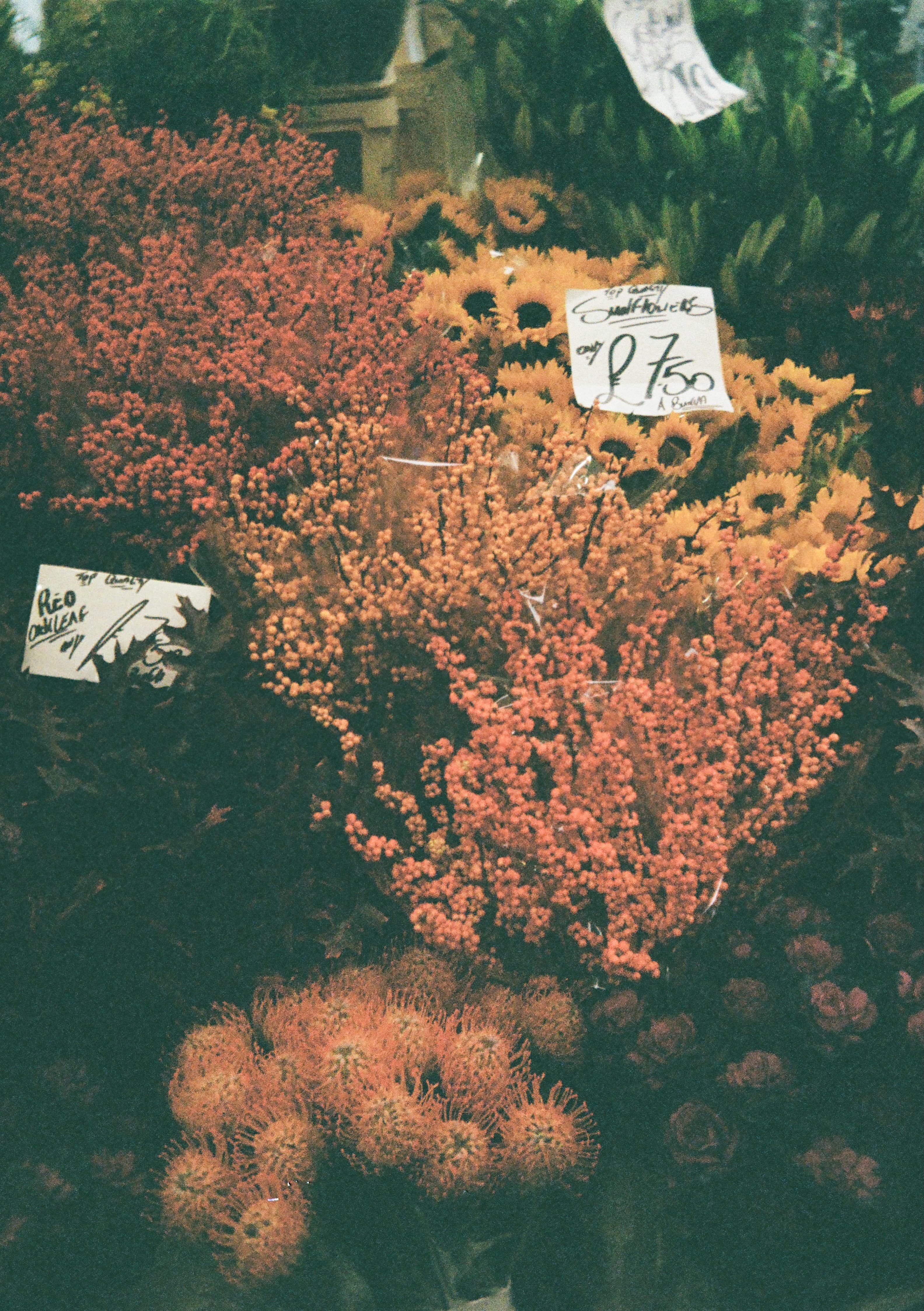 生活中的儀式感